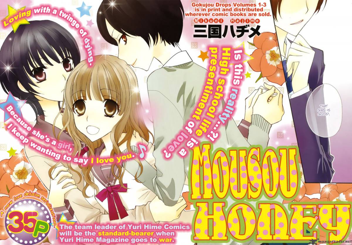 Mousou Honey 1 3