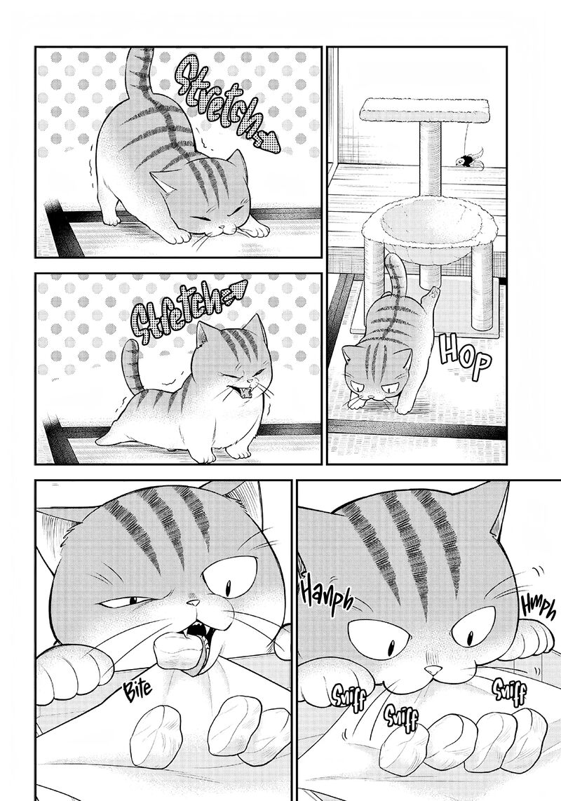 Neko Ga Gotoku 1 9