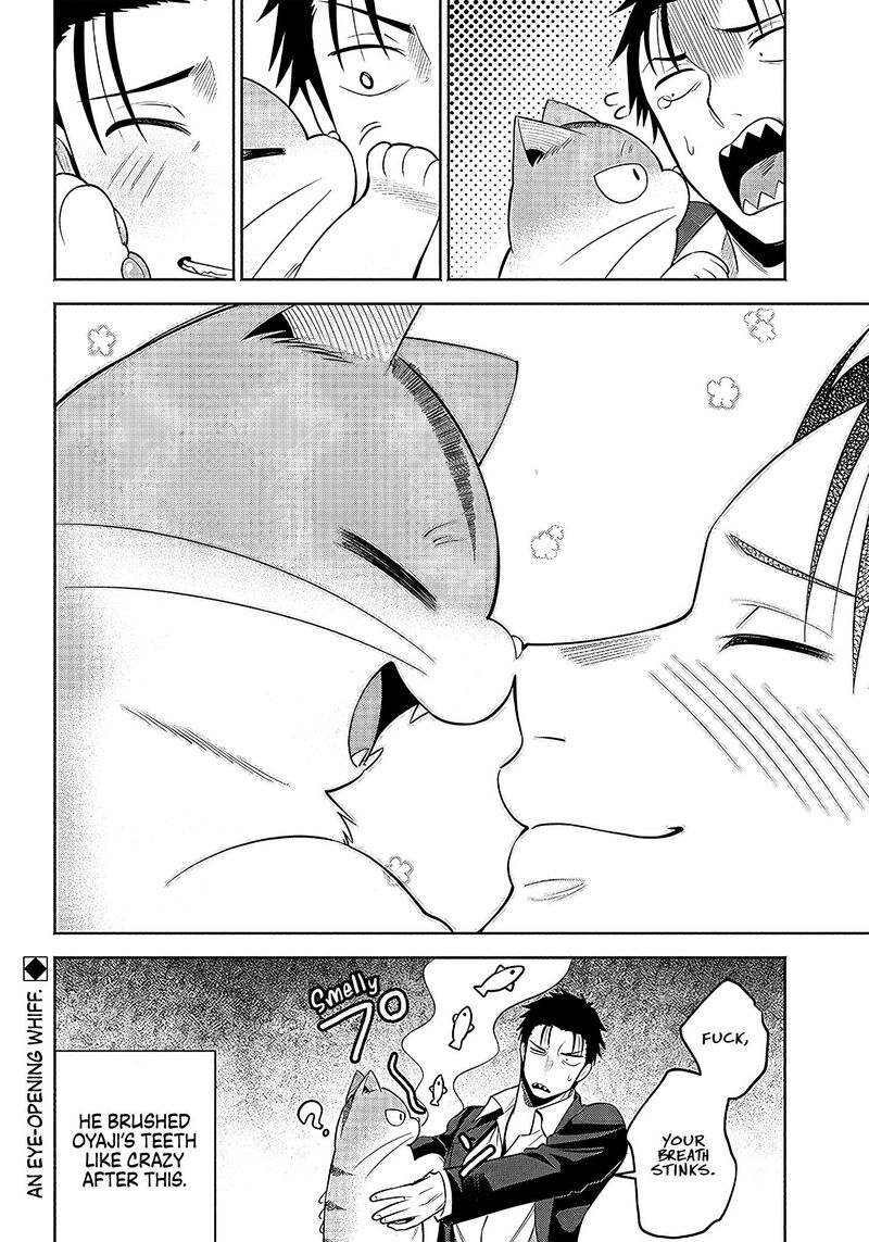 Neko Ga Gotoku 17 5