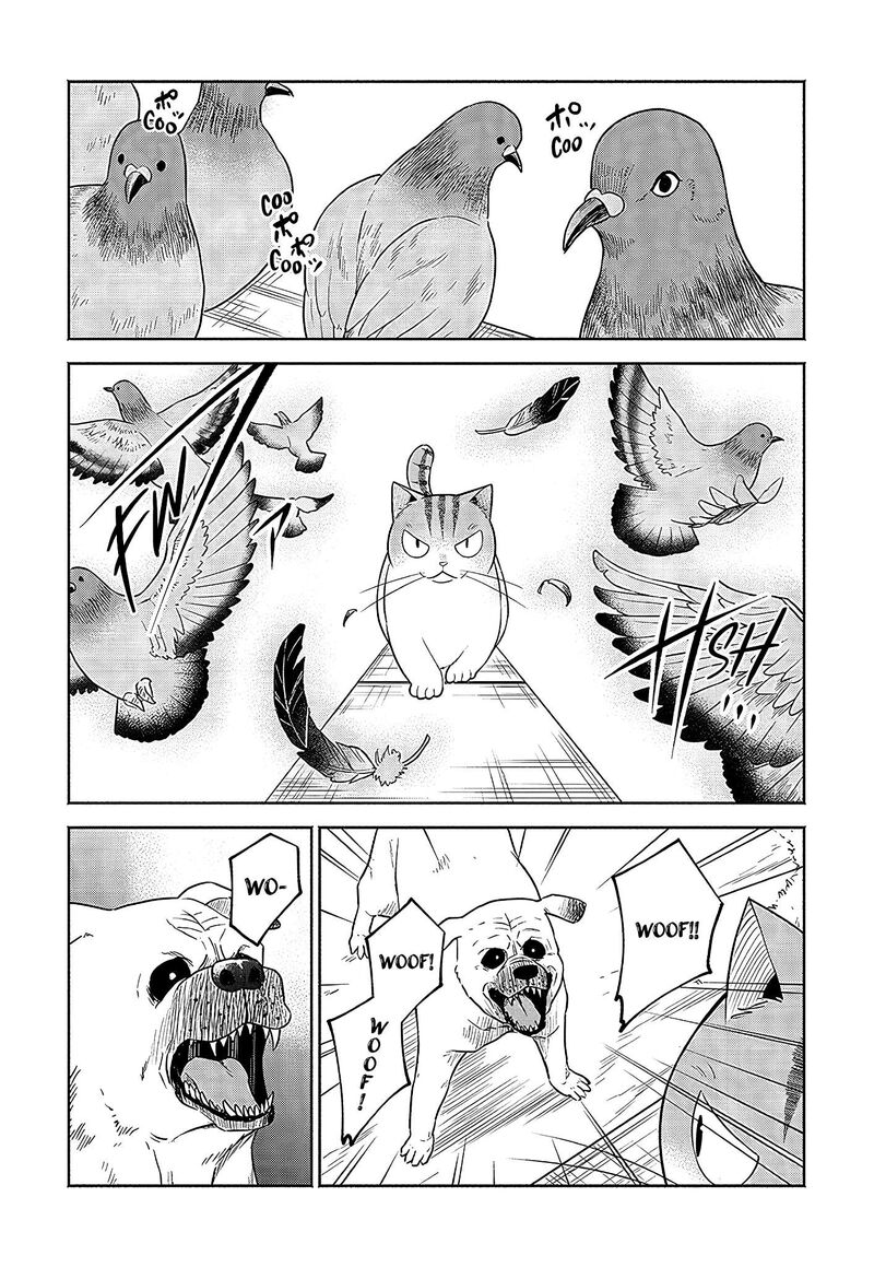 Neko Ga Gotoku 21 5