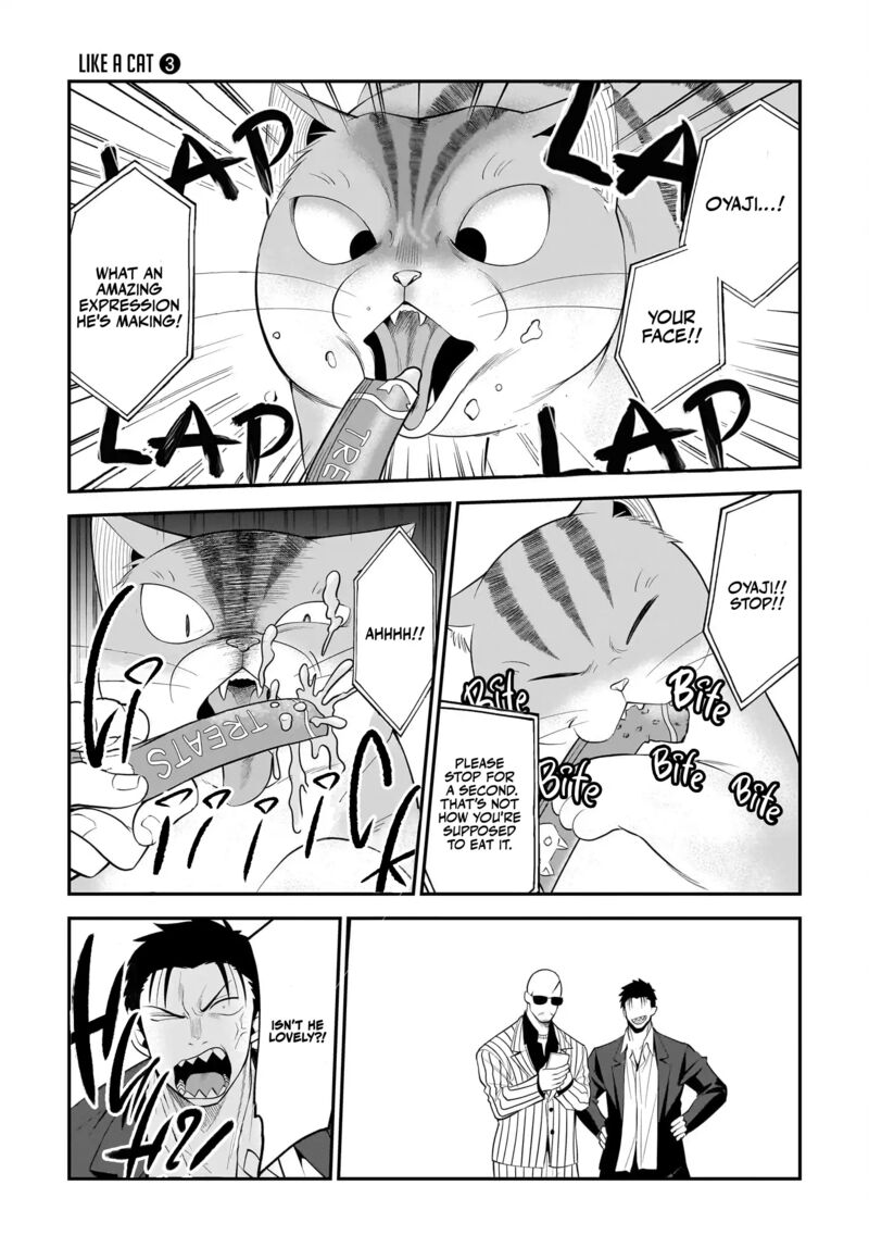 Neko Ga Gotoku 29 8