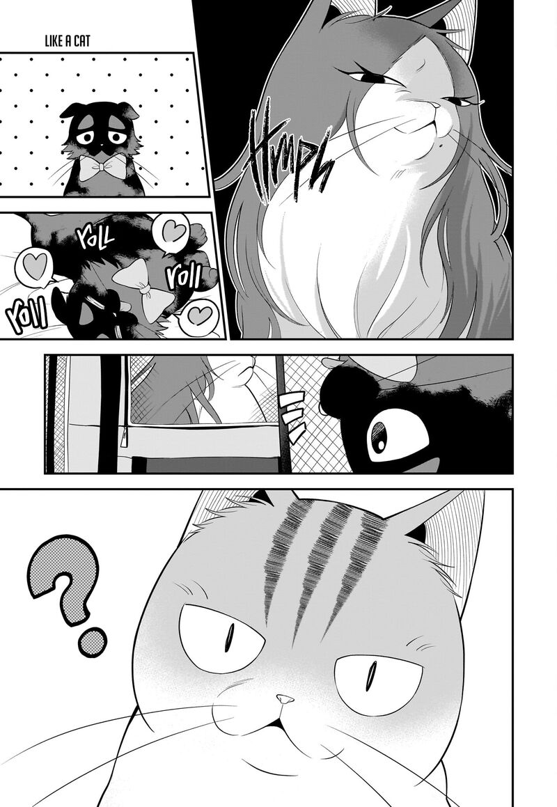 Neko Ga Gotoku 31 10