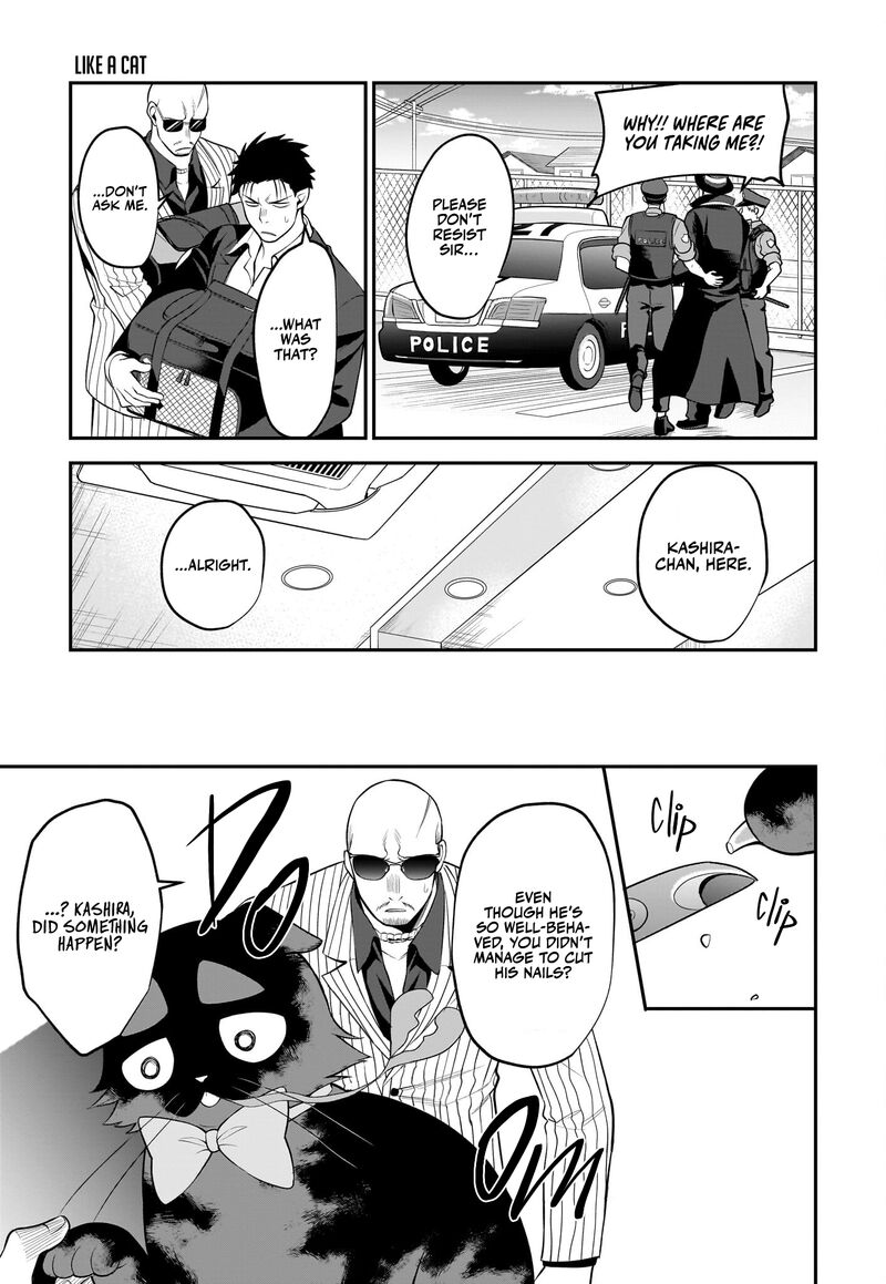 Neko Ga Gotoku 31 12
