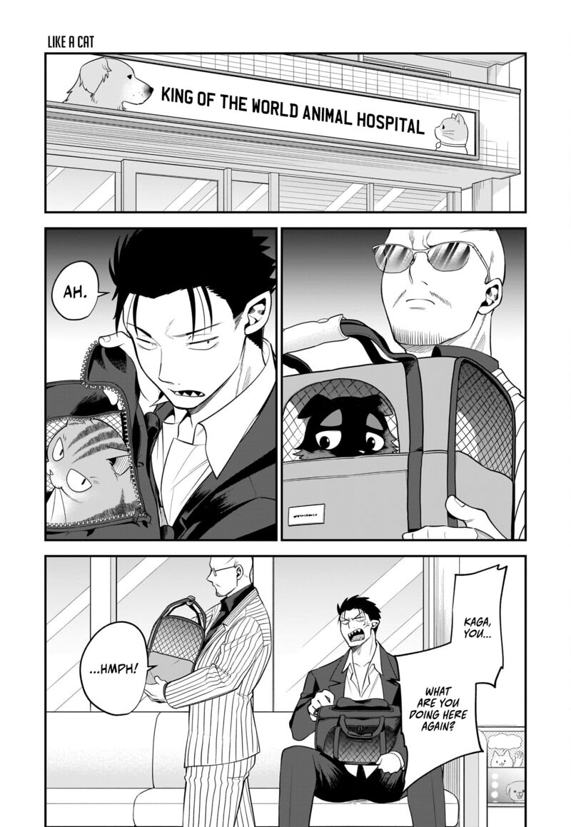 Neko Ga Gotoku 31 4