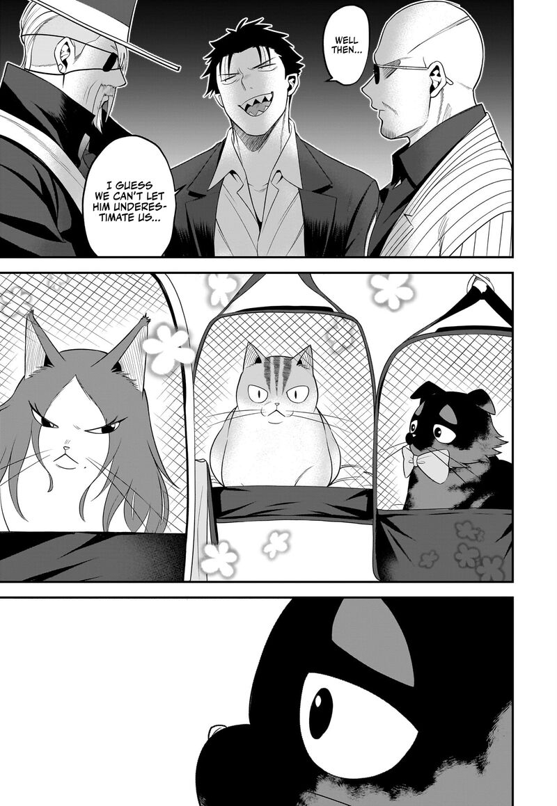 Neko Ga Gotoku 31 8