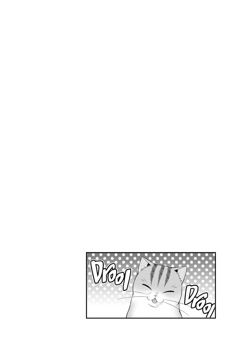 Neko Ga Gotoku 33 13