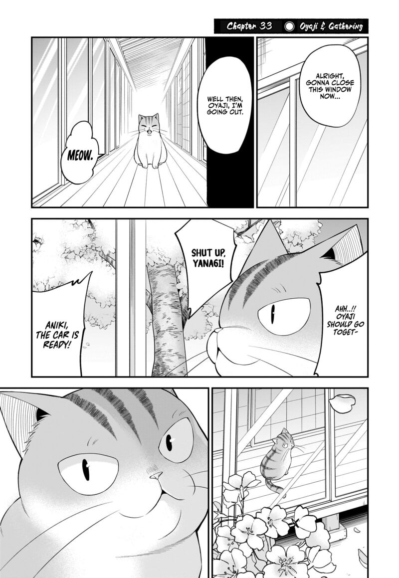 Neko Ga Gotoku 33 2