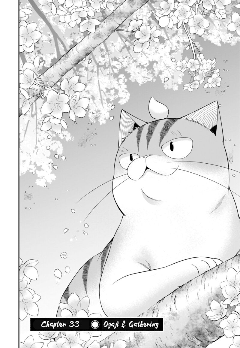 Neko Ga Gotoku 33 3