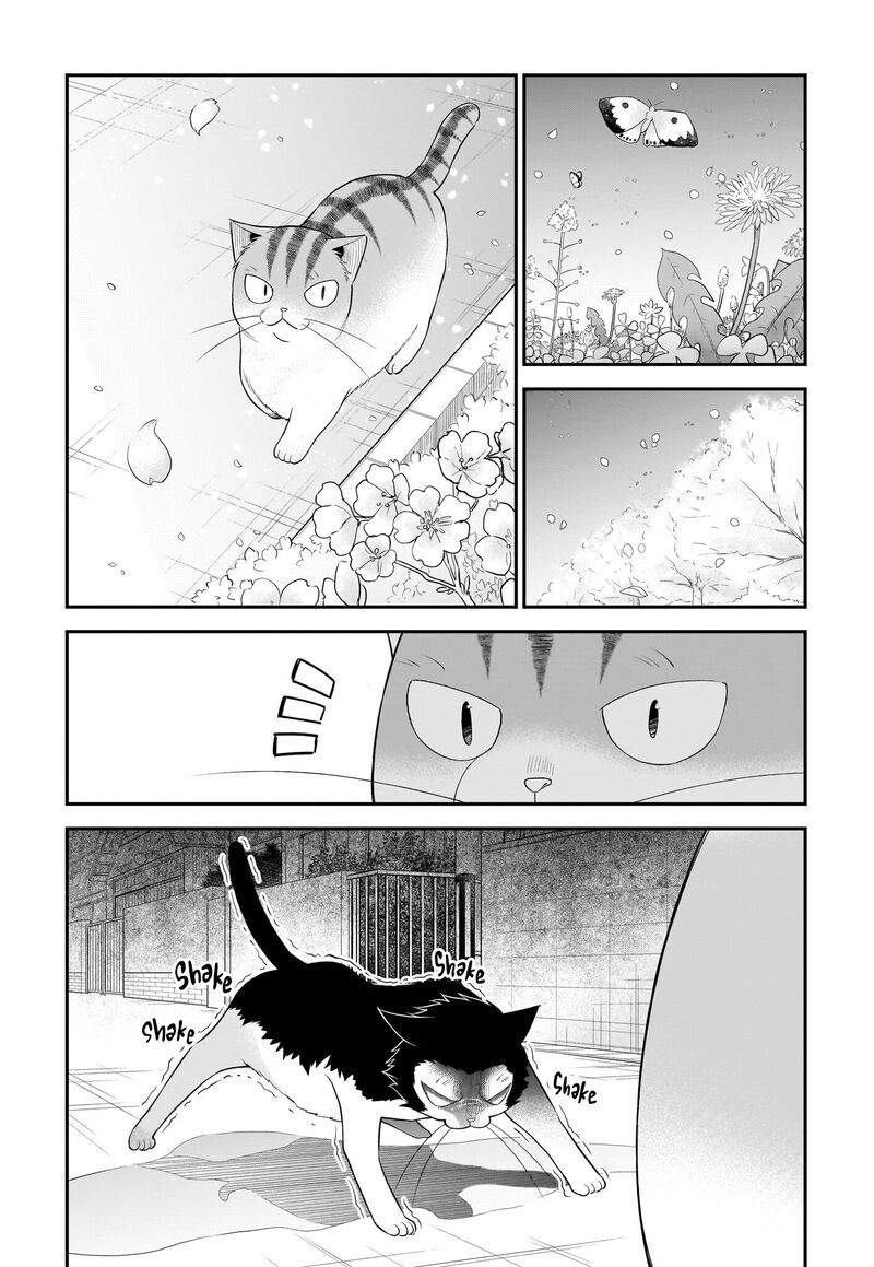 Neko Ga Gotoku 33 4