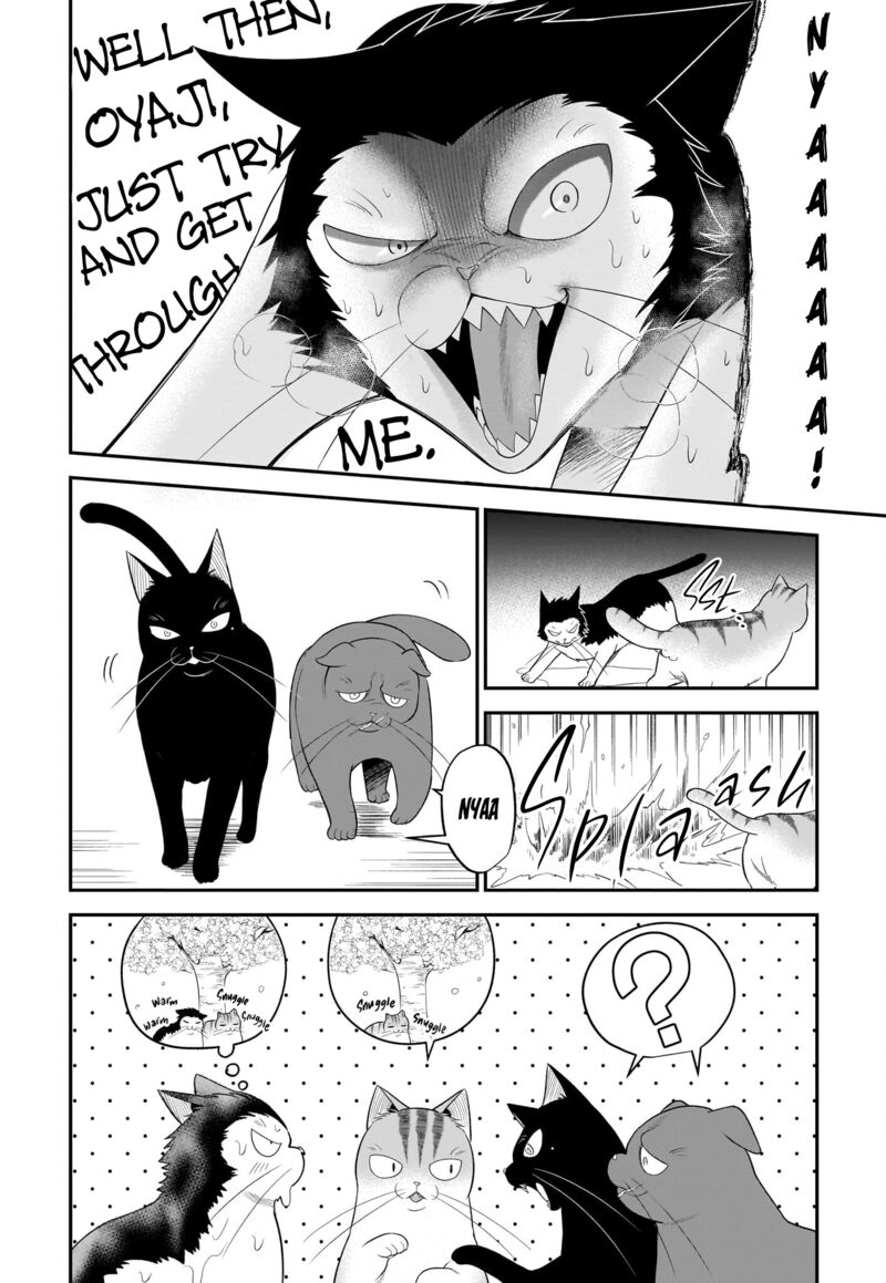 Neko Ga Gotoku 33 5