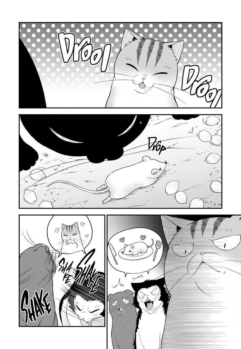 Neko Ga Gotoku 33 7
