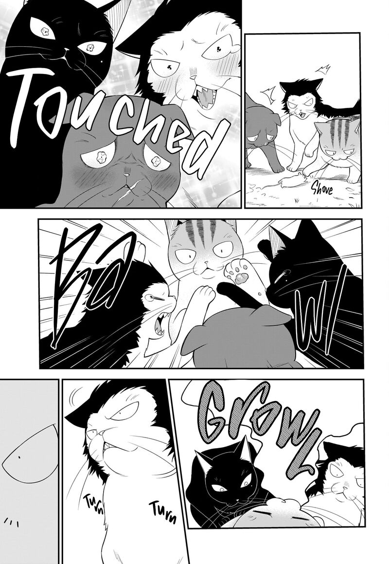 Neko Ga Gotoku 33 8