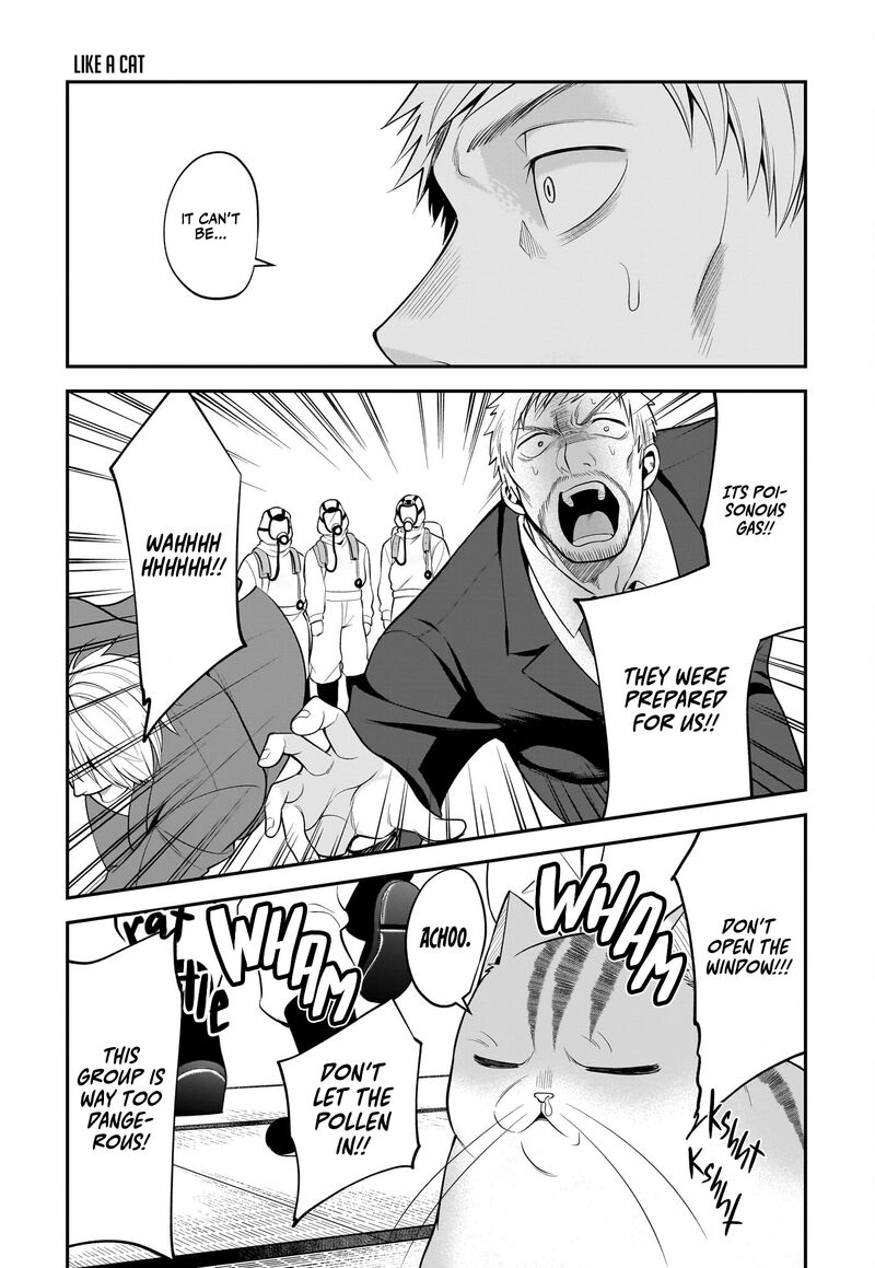 Neko Ga Gotoku 34 14