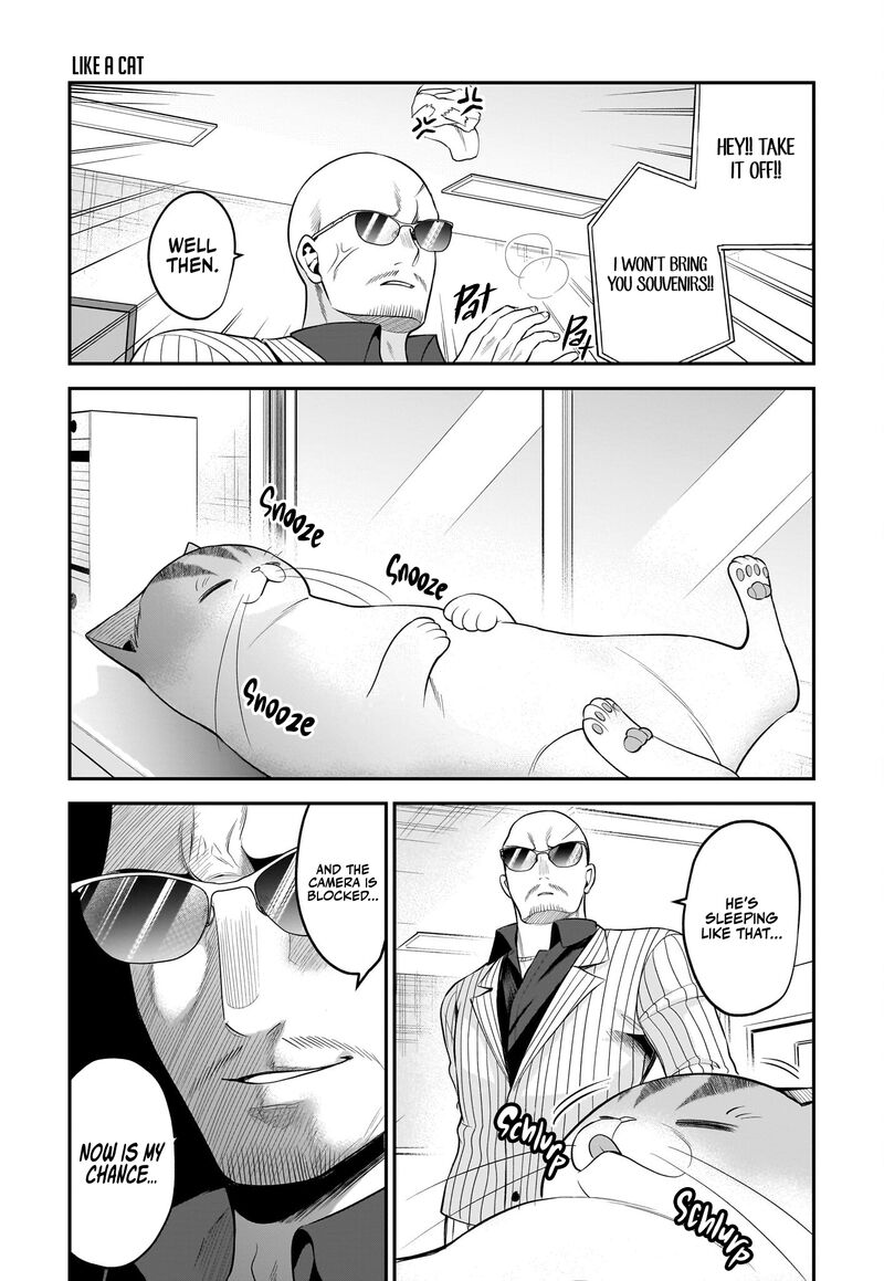 Neko Ga Gotoku 35 10
