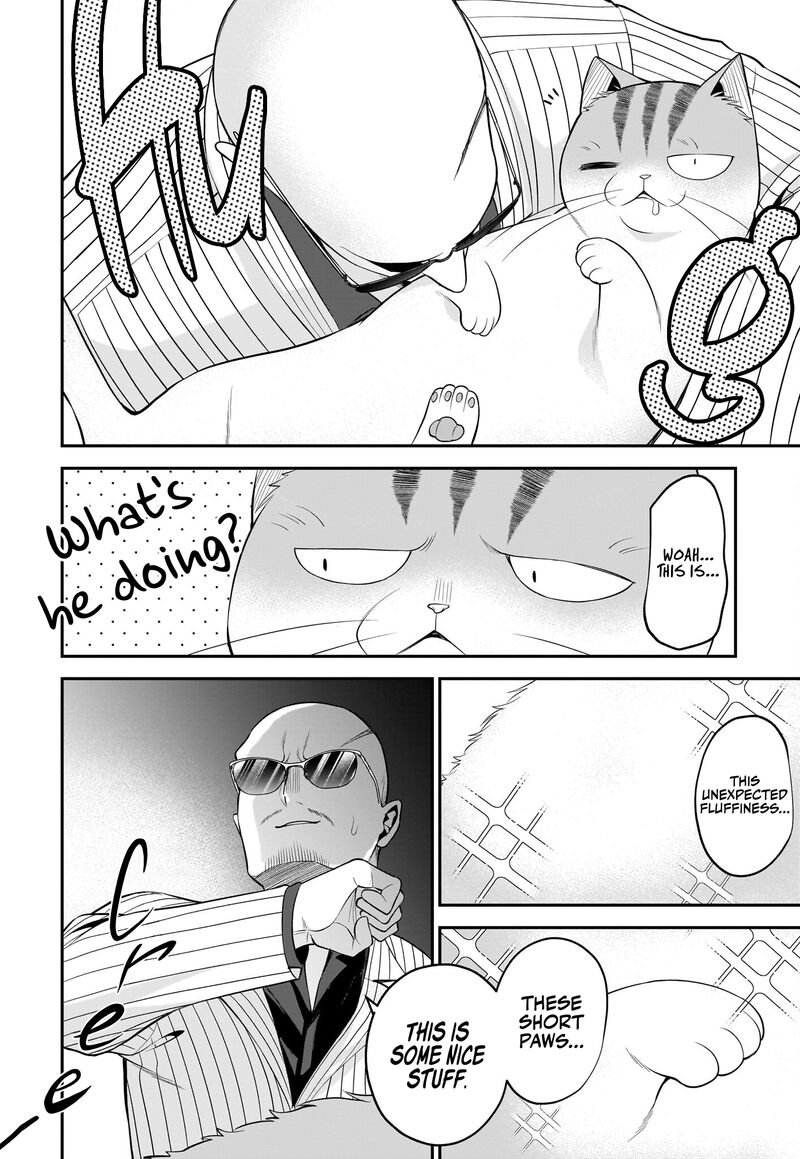 Neko Ga Gotoku 35 11