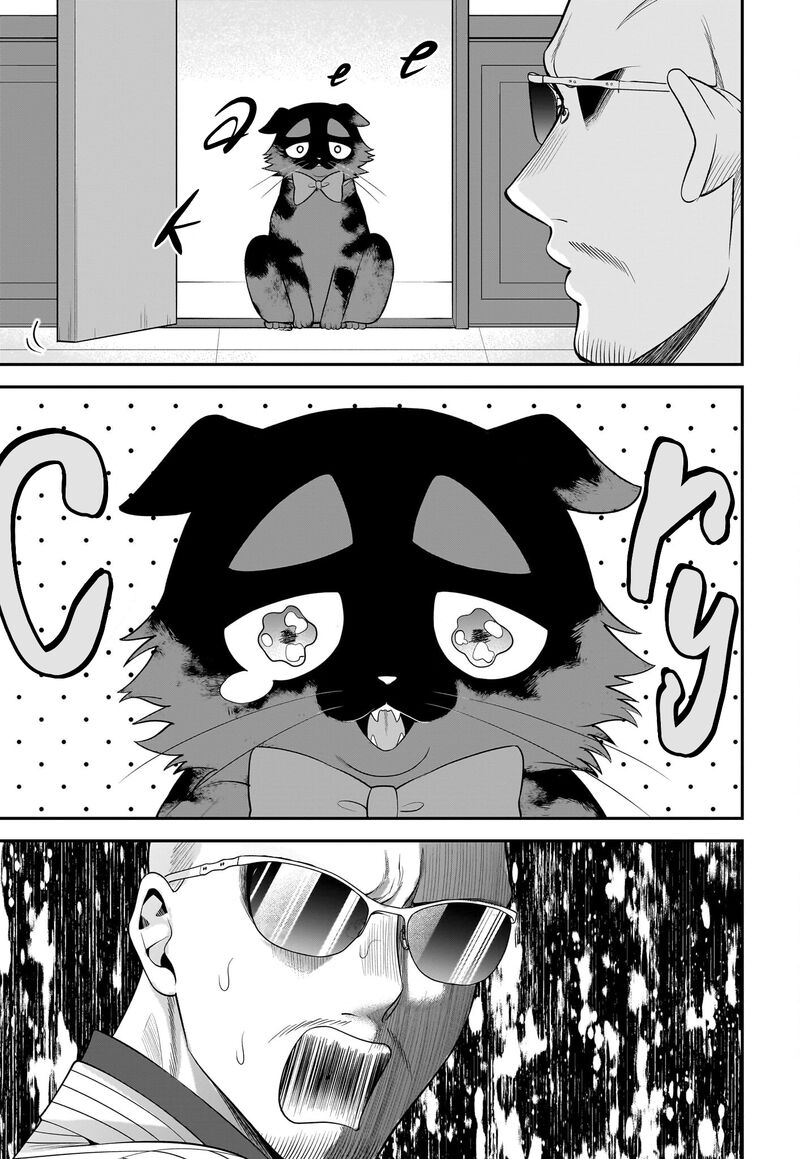 Neko Ga Gotoku 35 12
