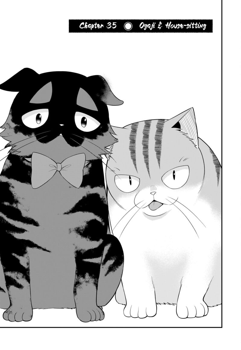 Neko Ga Gotoku 35 4