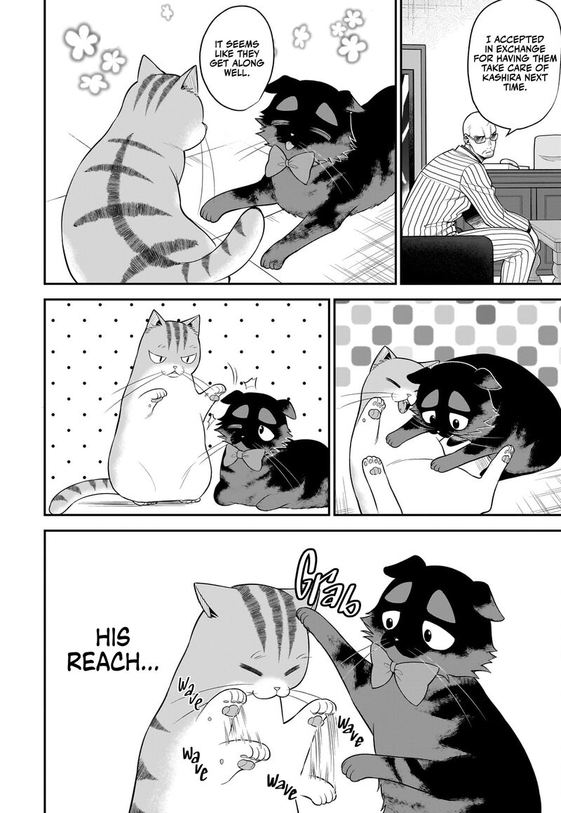 Neko Ga Gotoku 35 5