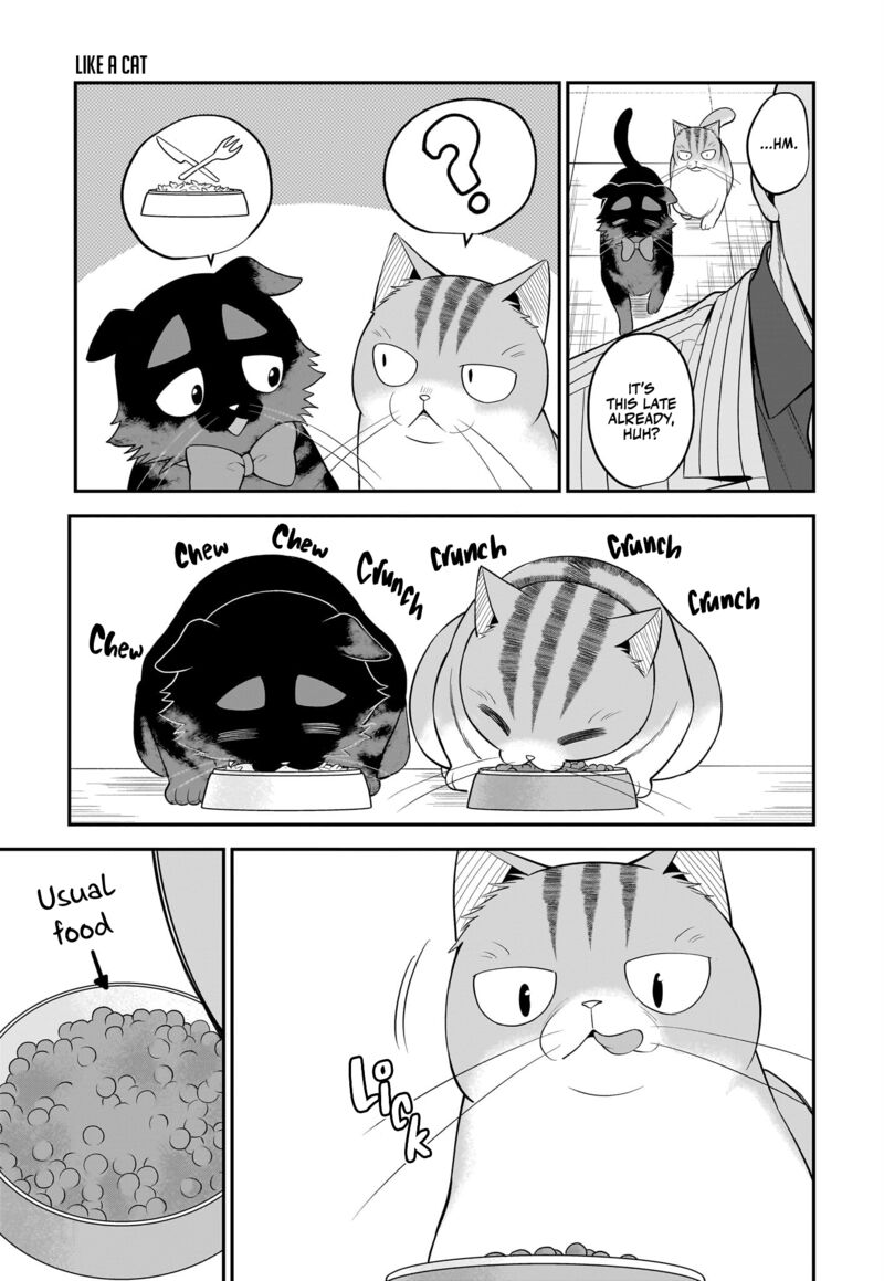 Neko Ga Gotoku 35 6