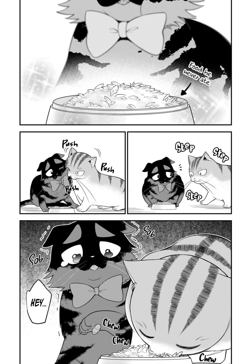 Neko Ga Gotoku 35 7