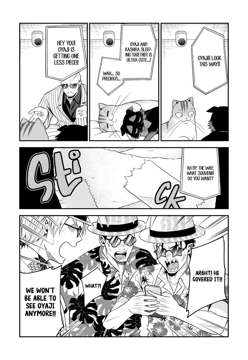 Neko Ga Gotoku 35 9