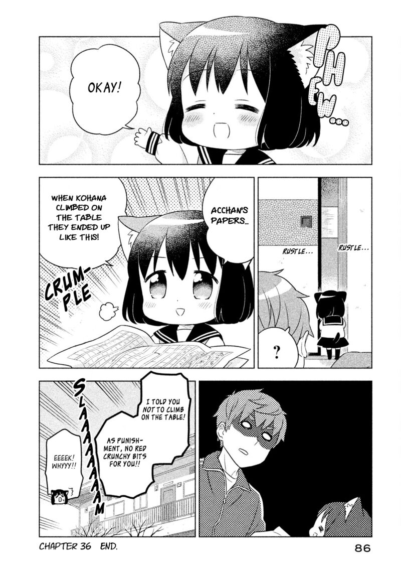 Neko No Kohana 36 12