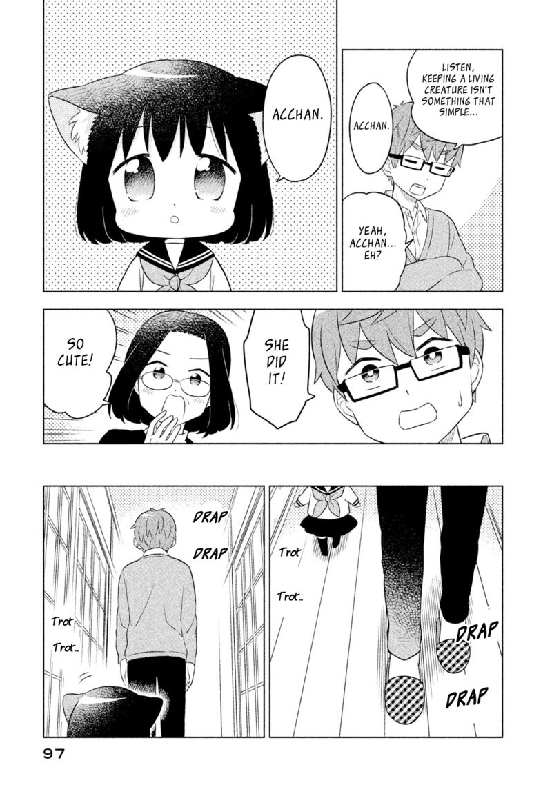 Neko No Kohana 37 11