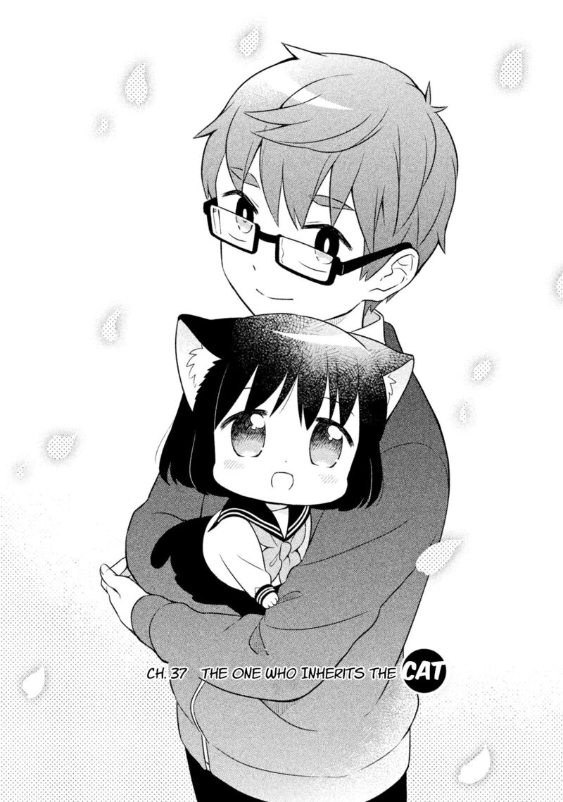 Neko No Kohana 37 4