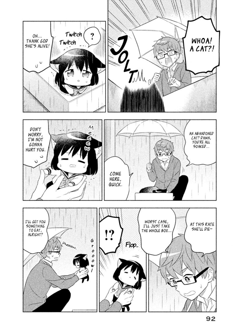 Neko No Kohana 37 6