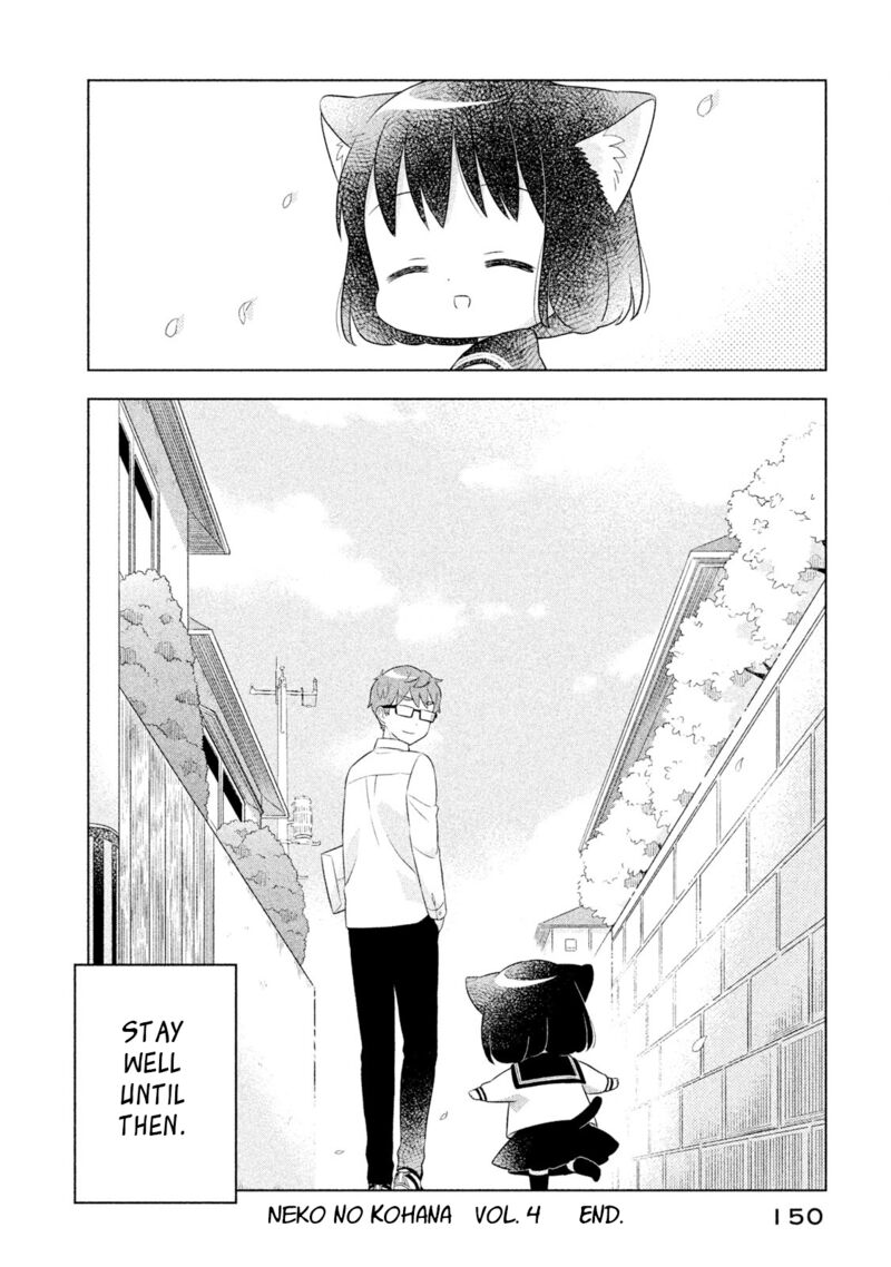 Neko No Kohana 41 12