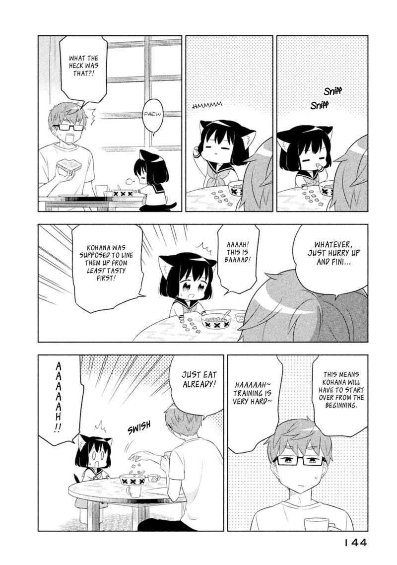 Neko No Kohana 41 6