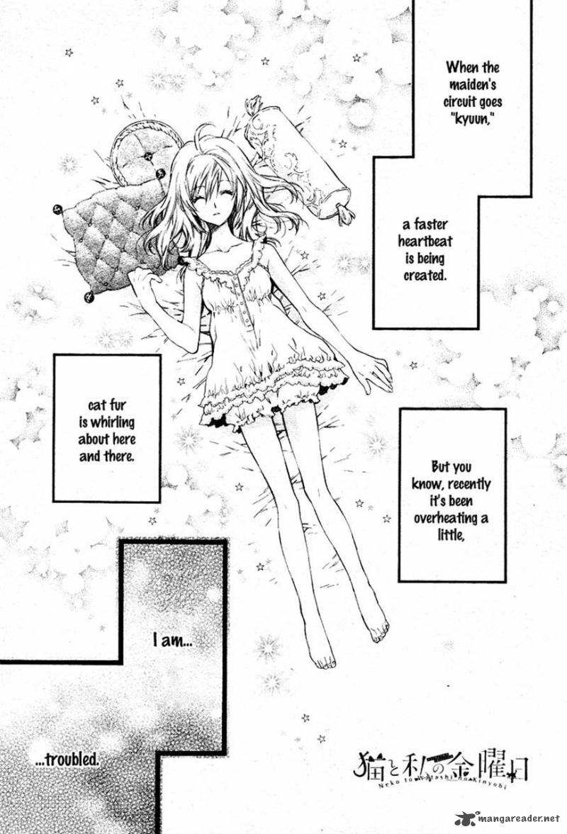Neko To Watashi No Kinyoubi 8 1