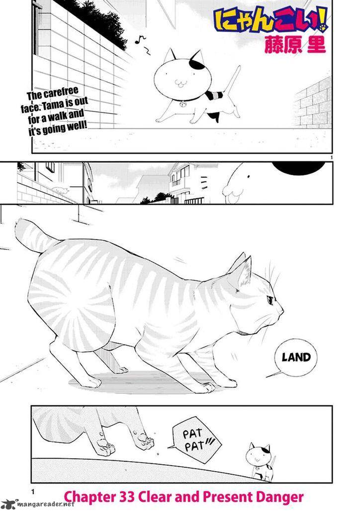 Nyan Koi 33 1