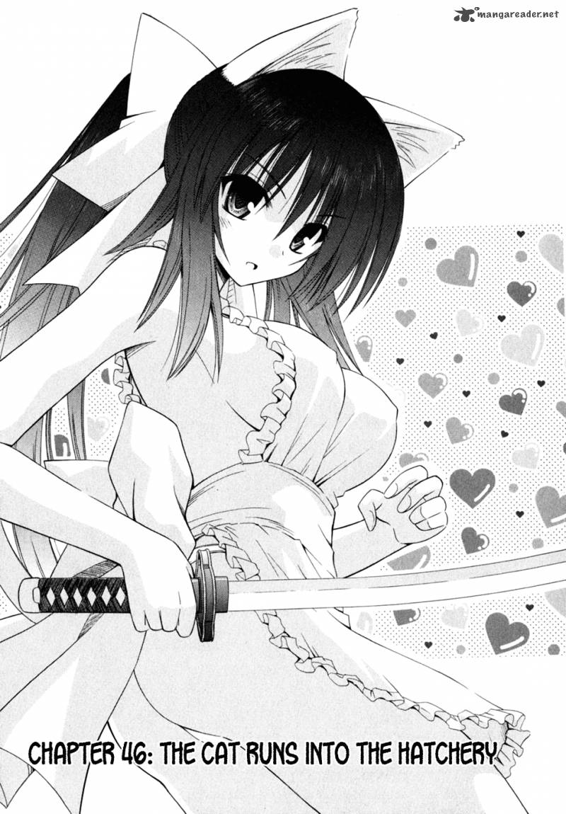 Omamori Himari 46 4