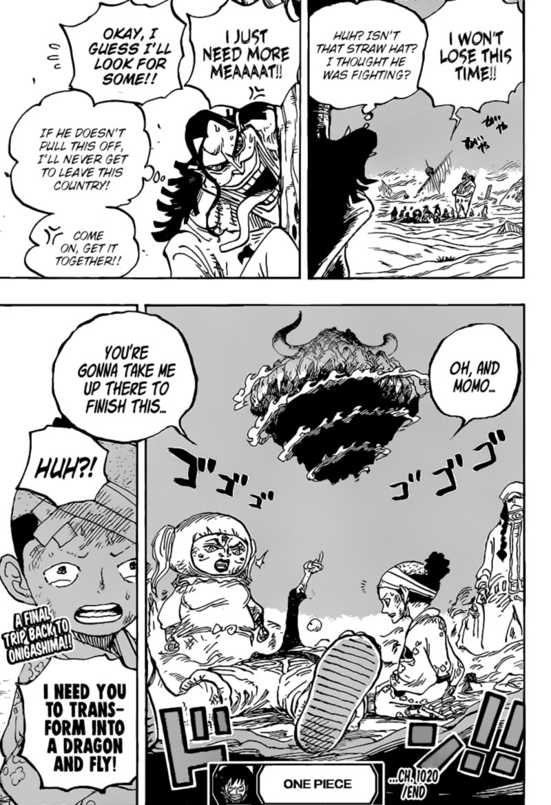 One Piece 1020 17