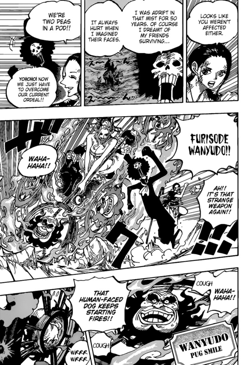 One Piece 1020 9