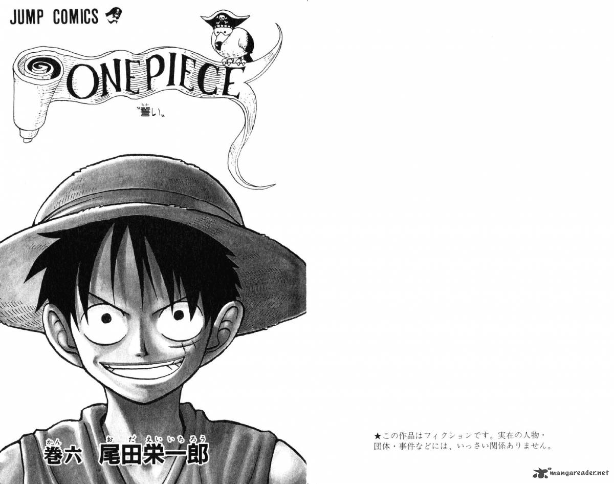 One Piece 45 25