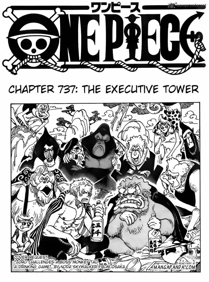 One Piece 737 3
