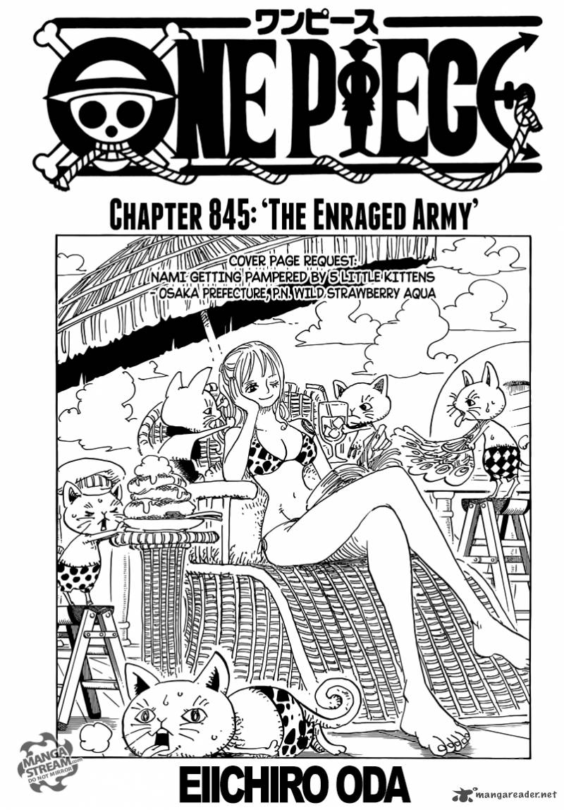 One Piece 845 1