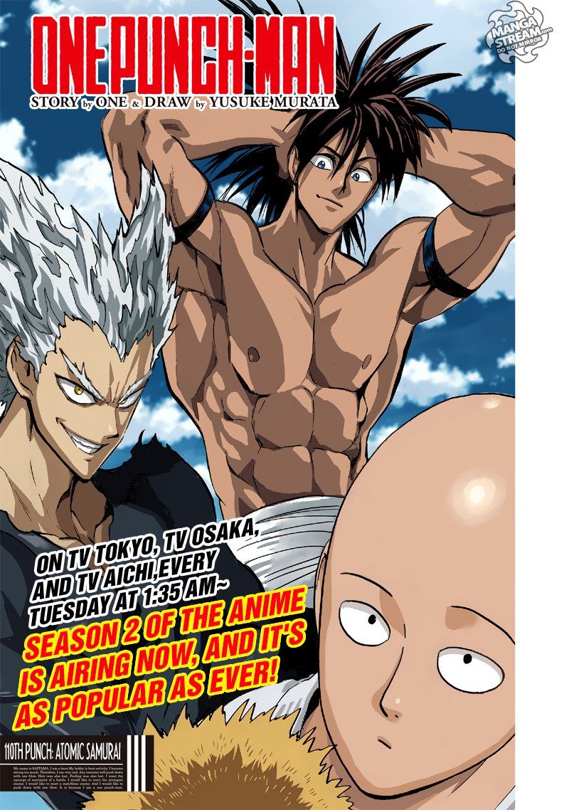 Onepunch Man 110 1