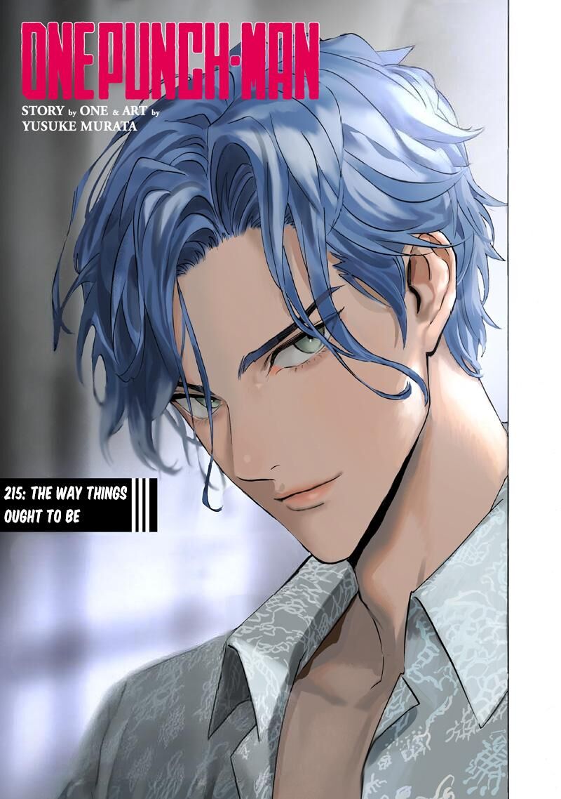 Onepunch Man 215 1