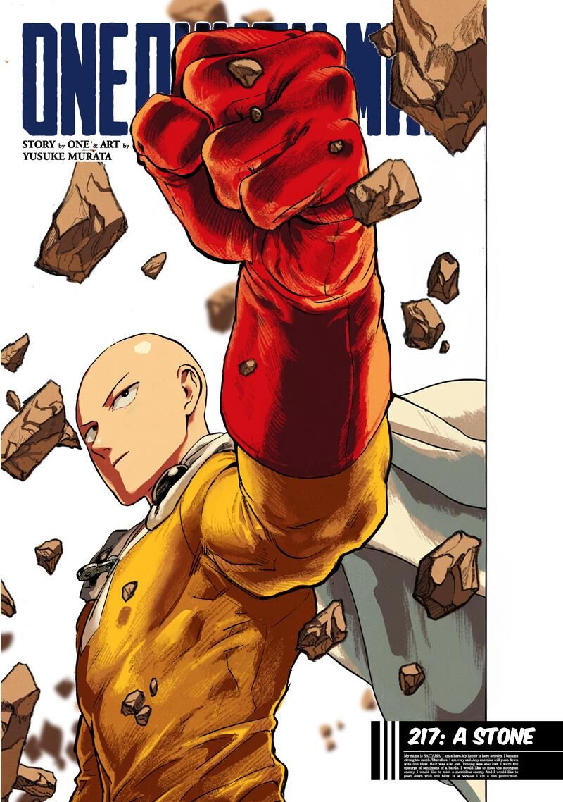 Onepunch Man 217 1