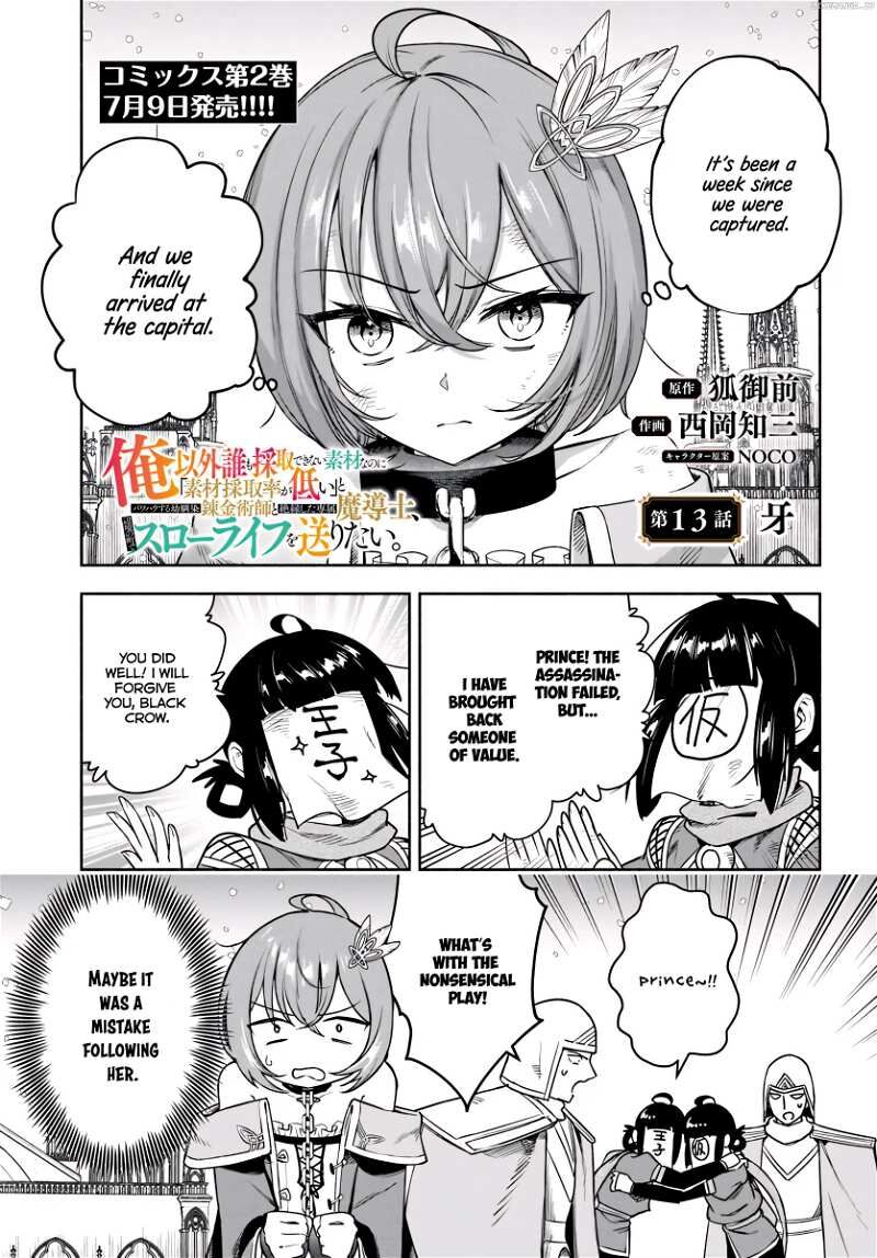 Ore Igai Dare Mo Saishu Dekinai Sozai Na No Ni Sozai Saishuritsu Ga Hikui To Pawahara Suru Osananajimi Renkinjutsushi To Zetsuen Shita Senzoku Madoushi Henkyou No Machi De Slow Life Wo Okuritai 13 1