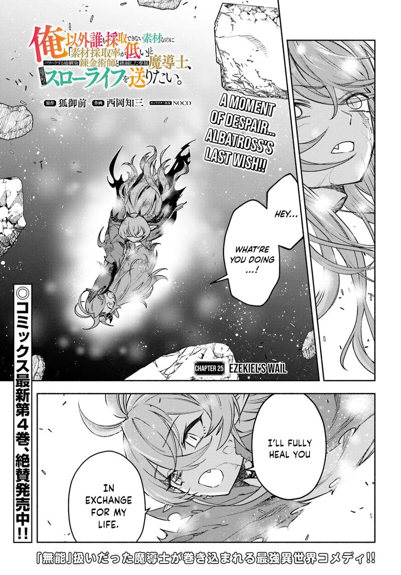 Ore Igai Dare Mo Saishu Dekinai Sozai Na No Ni Sozai Saishuritsu Ga Hikui To Pawahara Suru Osananajimi Renkinjutsushi To Zetsuen Shita Senzoku Madoushi Henkyou No Machi De Slow Life Wo Okuritai 25 1