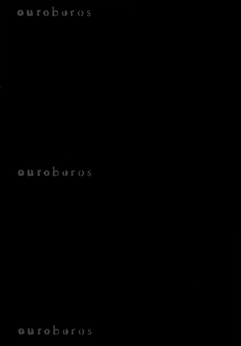 Ouroboros 123 42