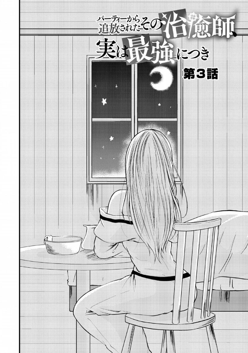 Party Kara Tsuihou Sareta Sono Chiyushi Jitsu Wa Saikyou Nitsuki 3 1