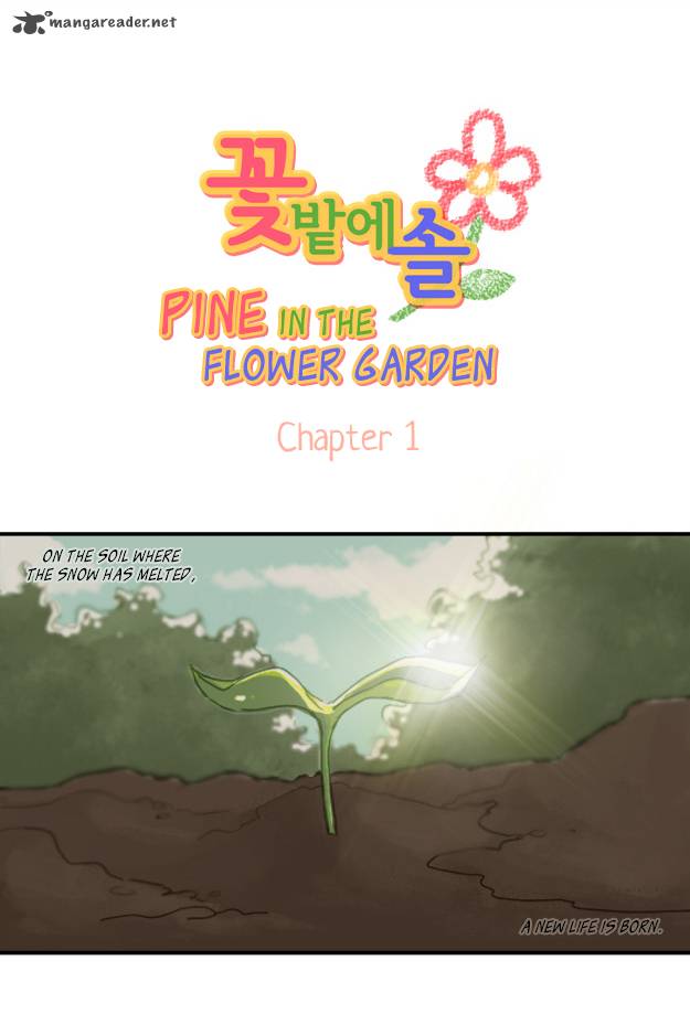 Pine In The Flower Garden 1 9