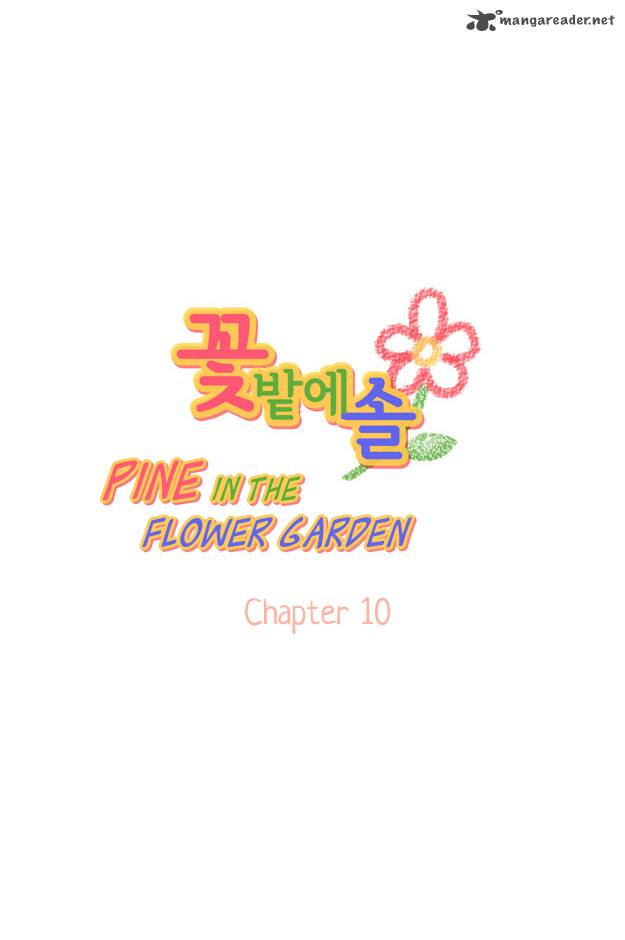 Pine In The Flower Garden 10 4