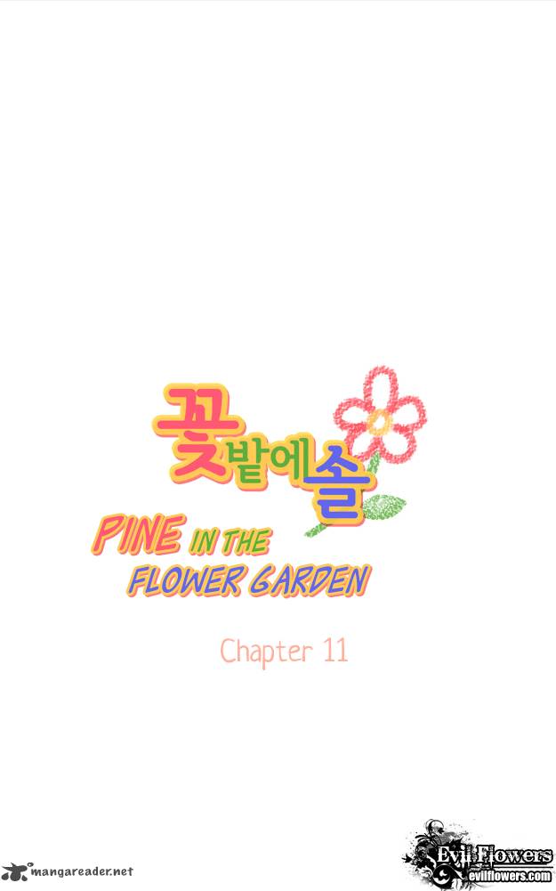 Pine In The Flower Garden 11 5