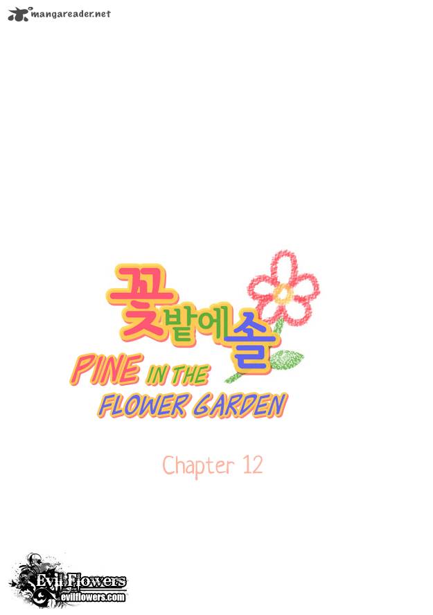Pine In The Flower Garden 12 12